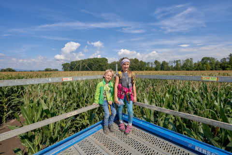 Gemeinde Atting Landkreis Straubing-Bogen Irrgarten Straubing (Dirschl Johann) Deutschland SR